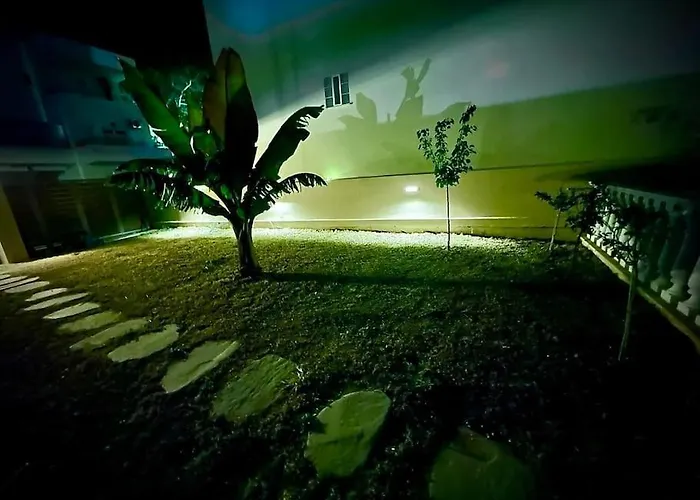 VI House