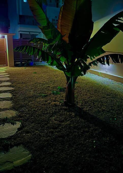 Vi House * Artemida (Attica)